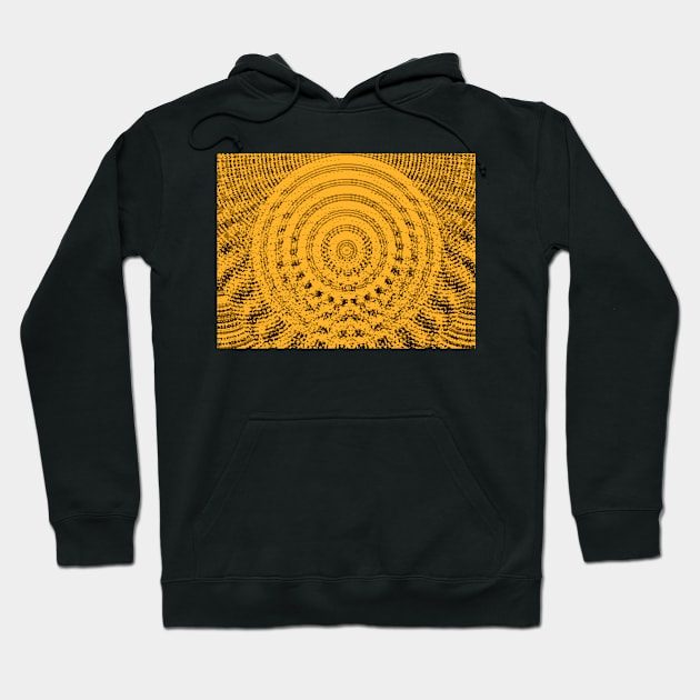 Synthetic Sun Hoodie by Simulations20